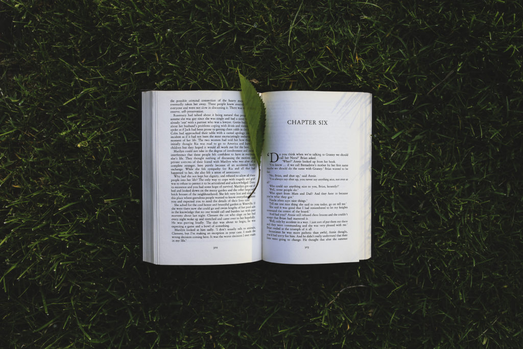 Open book with leaf as bookmark